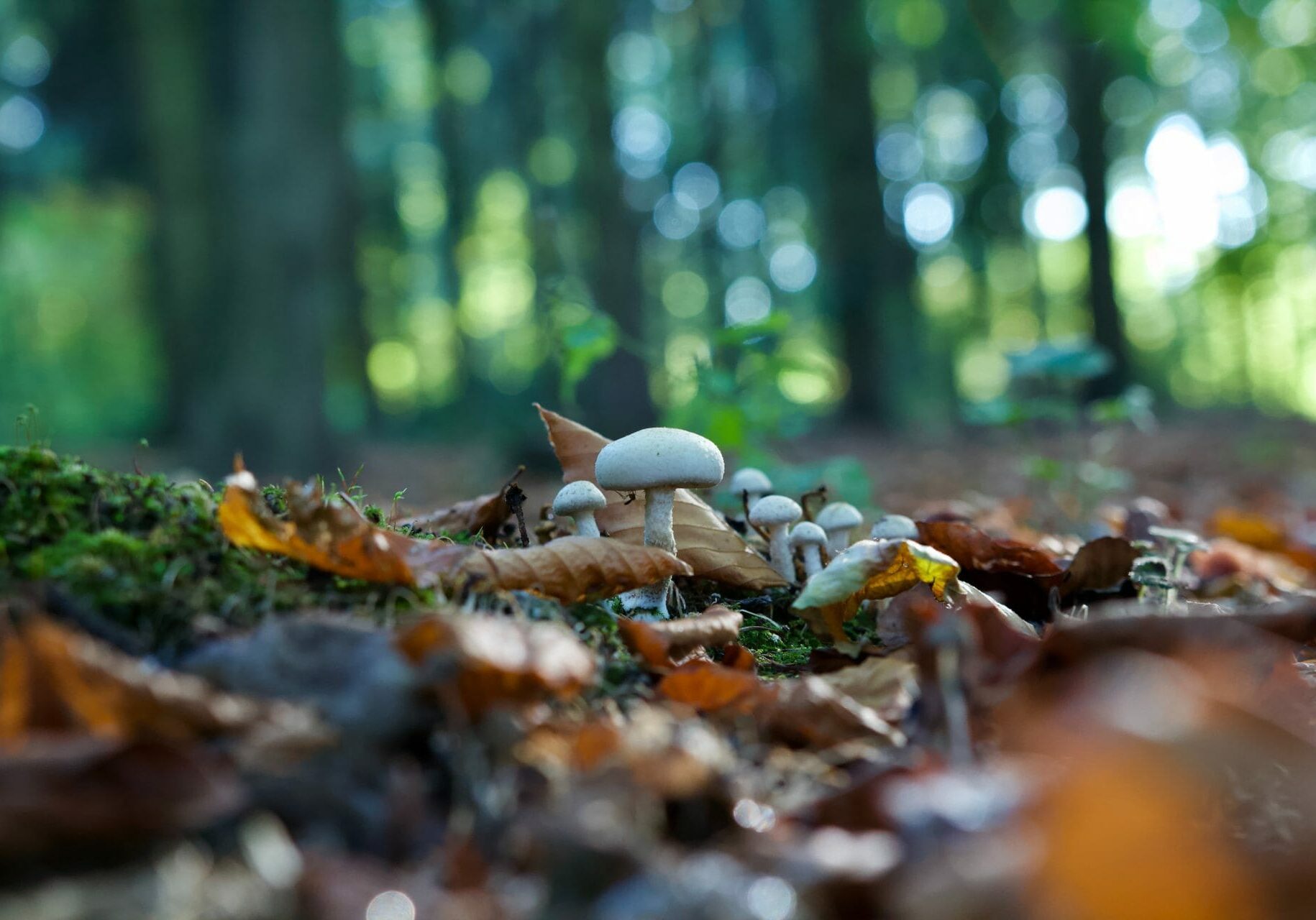 christopher-beloch-cEg035ilfhk-unsplash